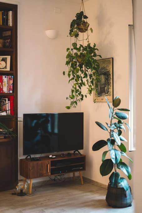 Vaticano/Trastevere Floreal Suite 로마 외부 사진
